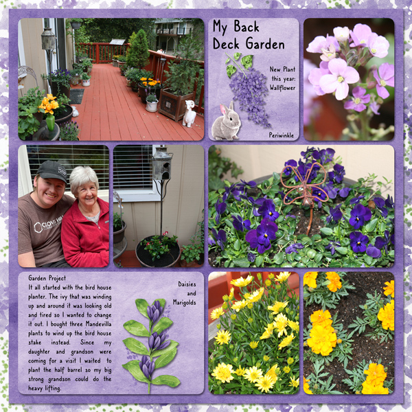 Back Deck Garden