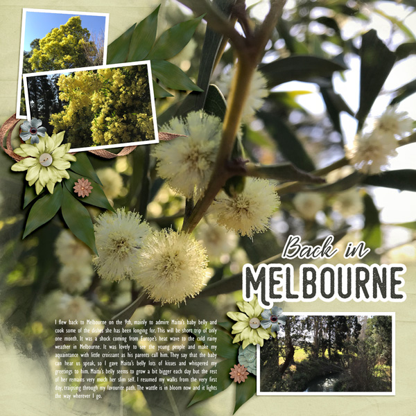 Back In Melbourne