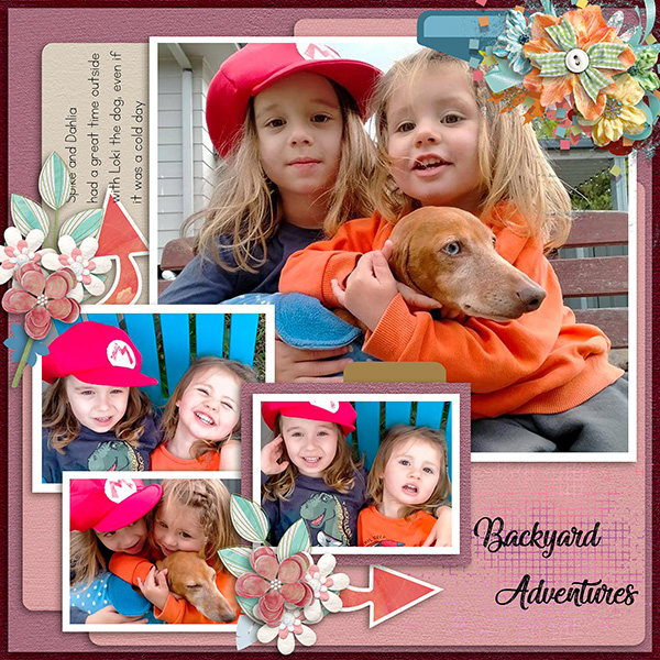 Backyard Adventures