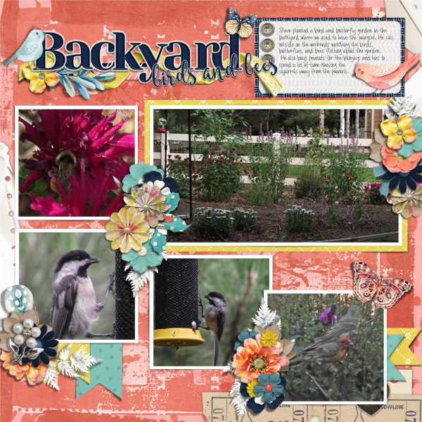 Backyard Birds