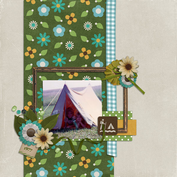 Backyard Camping