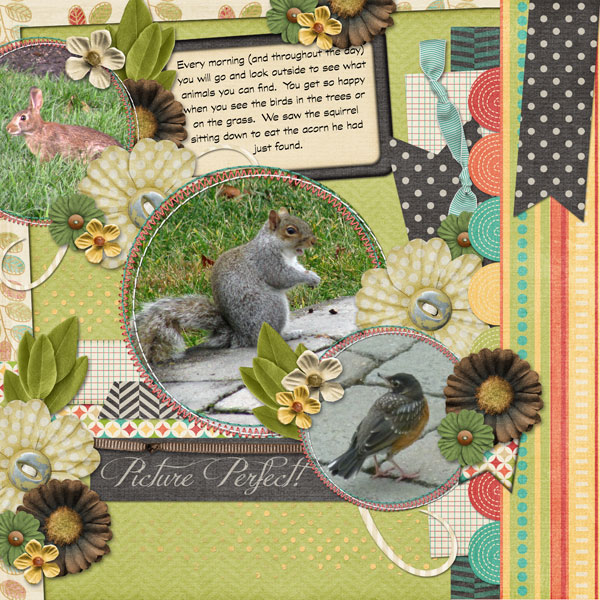 Backyard Critters