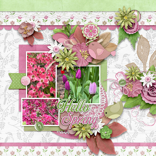 Backyard-Flowers
