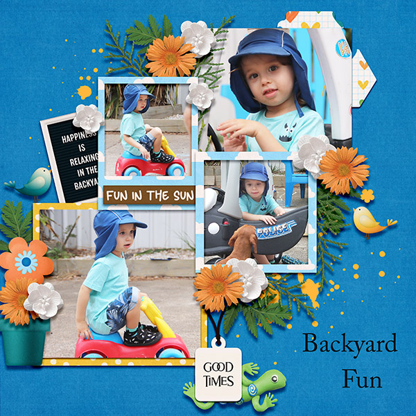 Backyard Fun