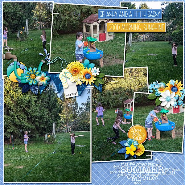 Backyard Fun