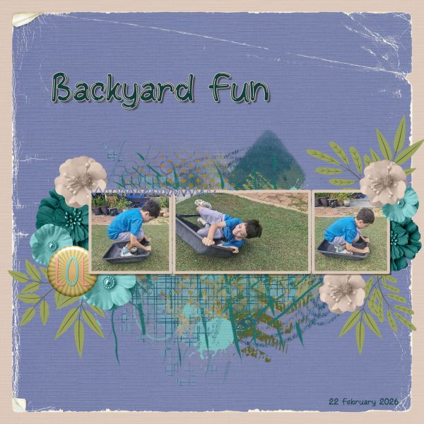 Backyard Fun