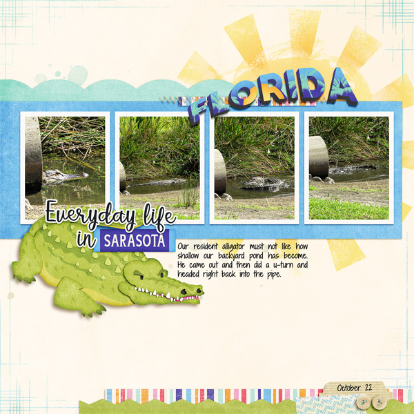 Backyard Gator