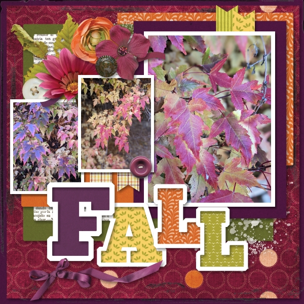 Backyard leaves