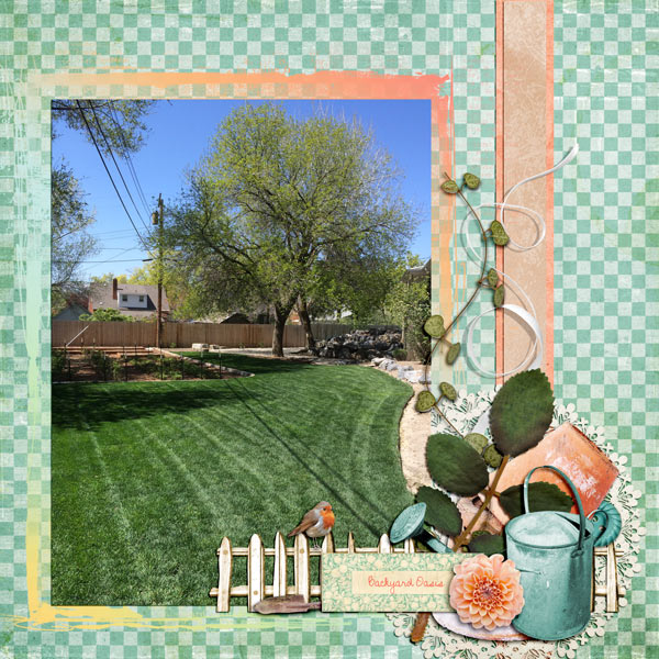Backyard Oasis