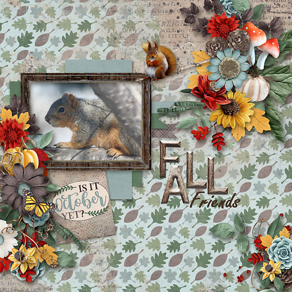 Backyard-Squirrel-copy
