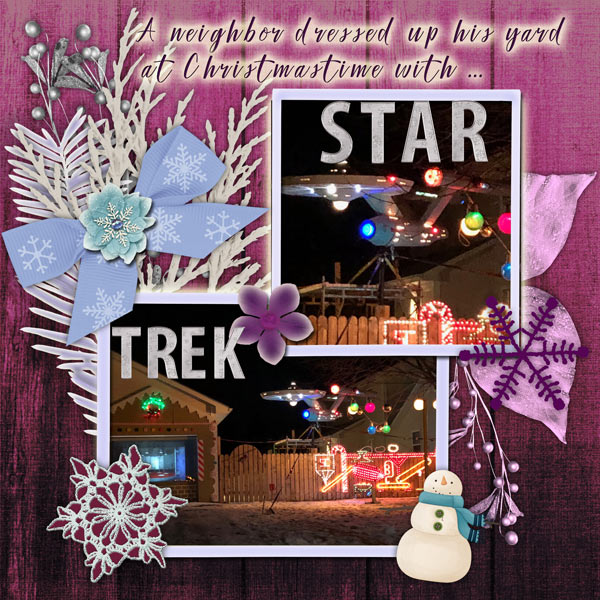Backyard Star Trek