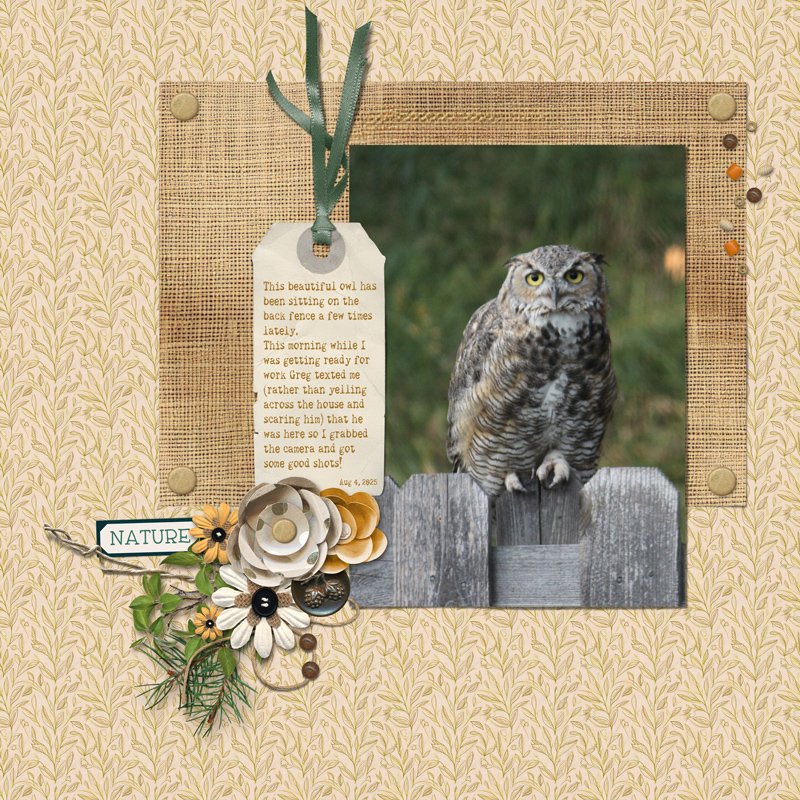 Backyard Visitor -- August 2025 styles challenge