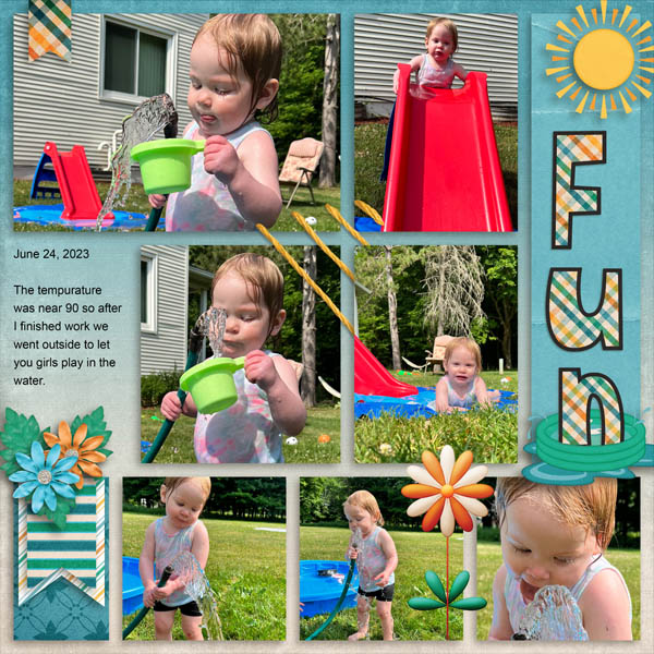 Backyard_Fun_R