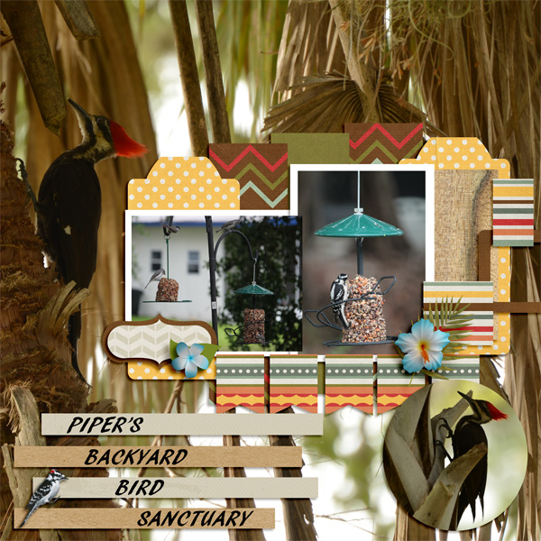 Backyard_Sanctuary