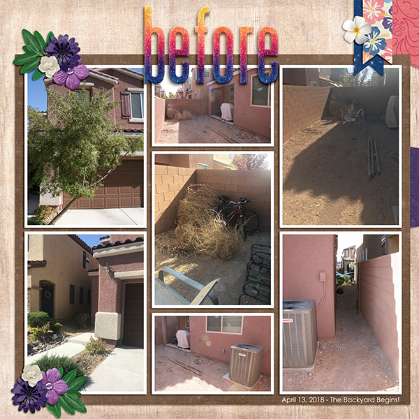 BackyardBefore