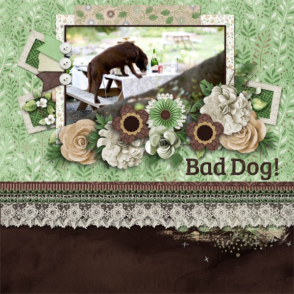 Bad Dog