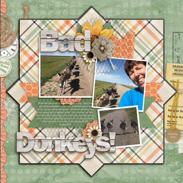 Bad Donkeys!!