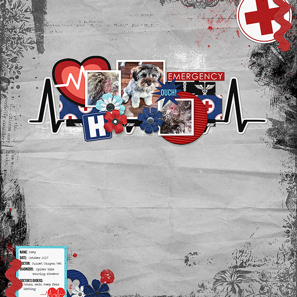 Bad Spider