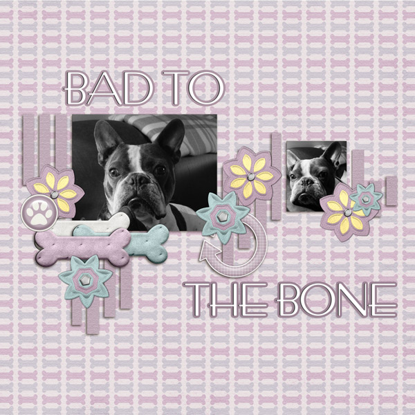 Bad To The Bone