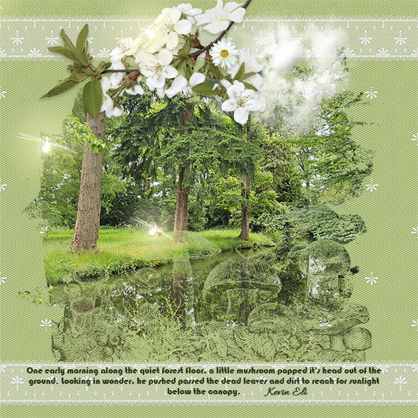 Baddesley Clinton Forest