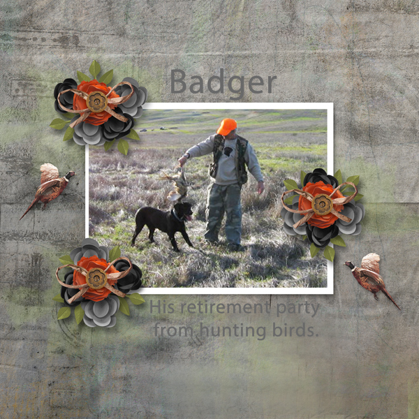 Badger
