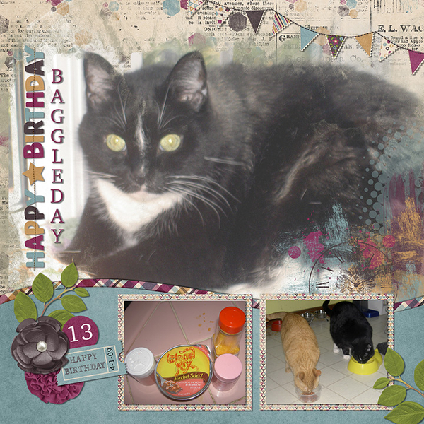 Baggle Turns 13