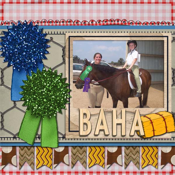 BAHA Horse Show