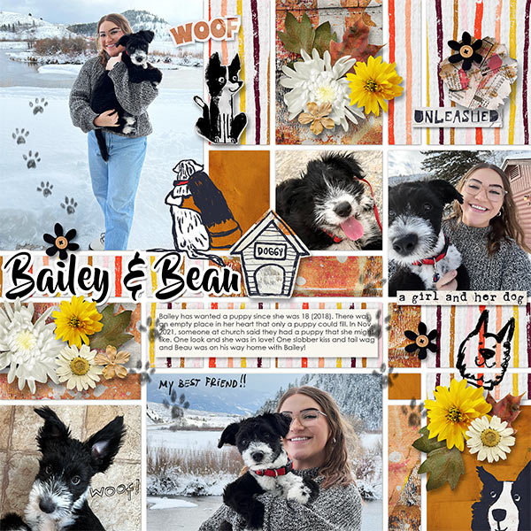 BAILEY + BEAU