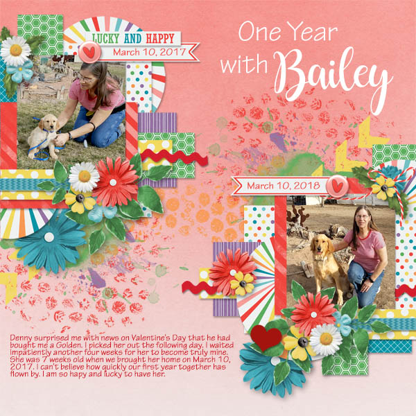 Bailey One Year