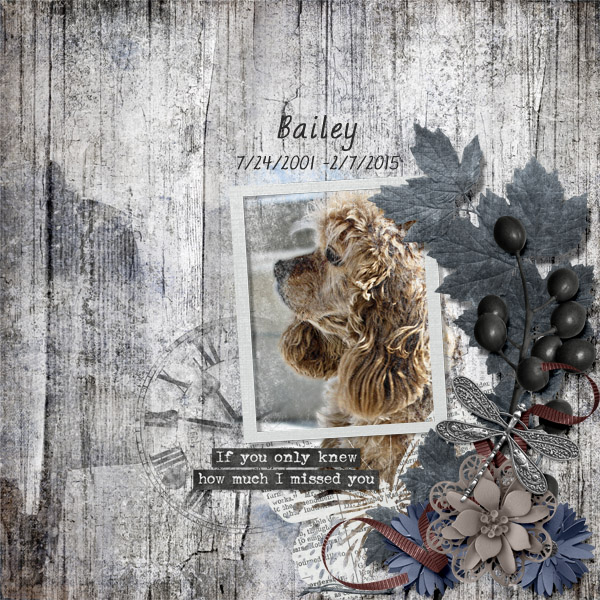 Bailey