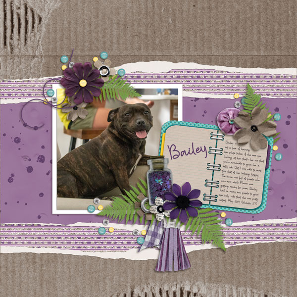 Bailey