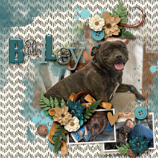 Bailey