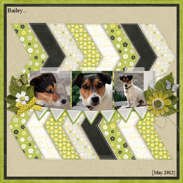Bailey