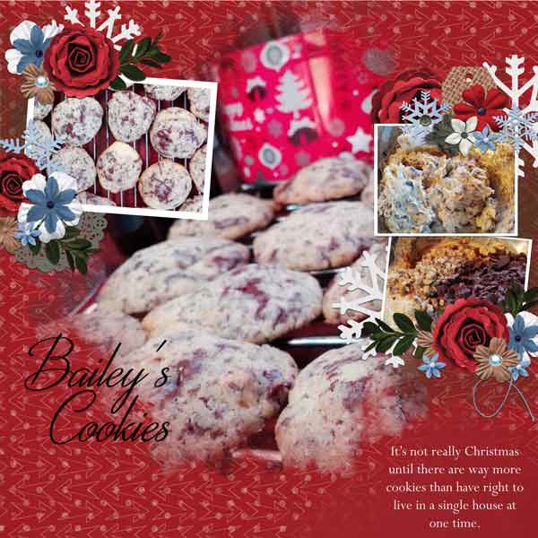 Bailey's Cookies
