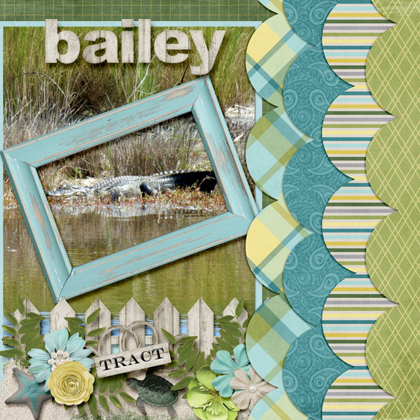 Baily Tract