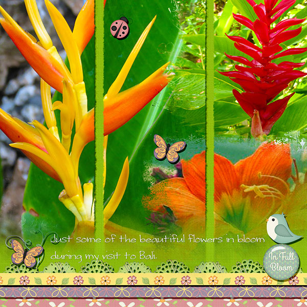 Bali Blooms