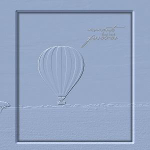 Balloon Ride over the Serengetti