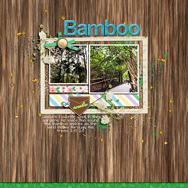 Bamboo