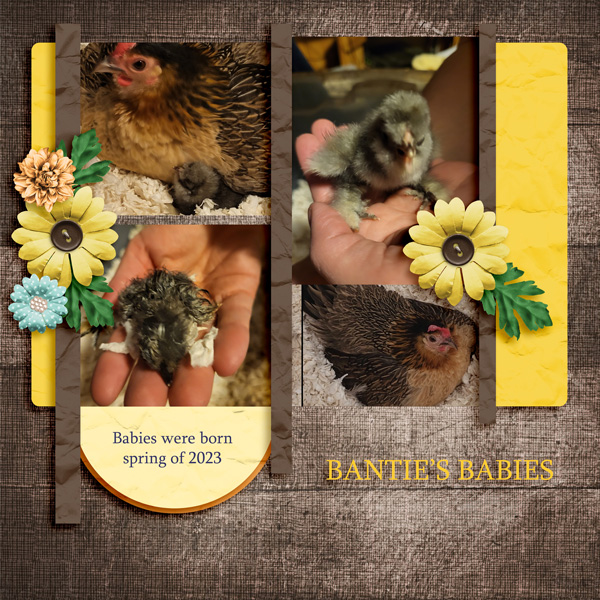 BANTIE