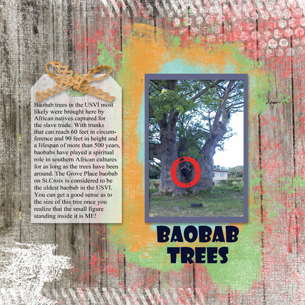 Baobab Trees