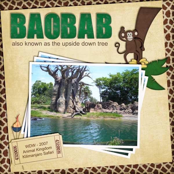 Baobab