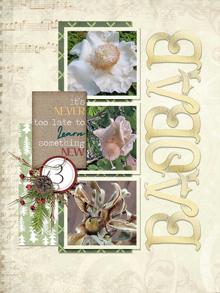 Baobab