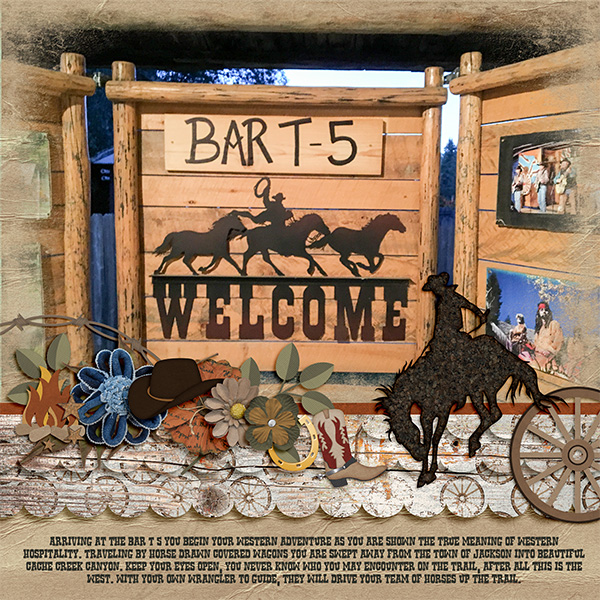 Bar T -5