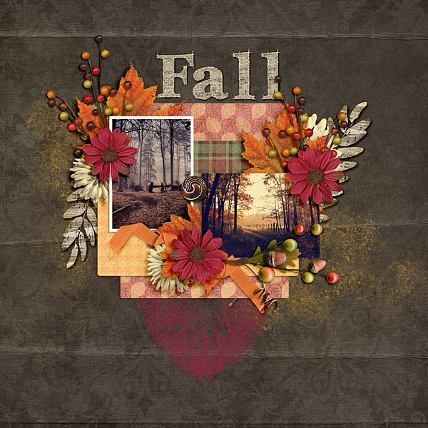 Barbara_dt-falldelight-temp1_600