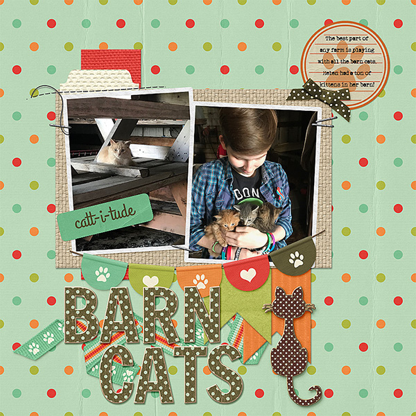 Barn Cats