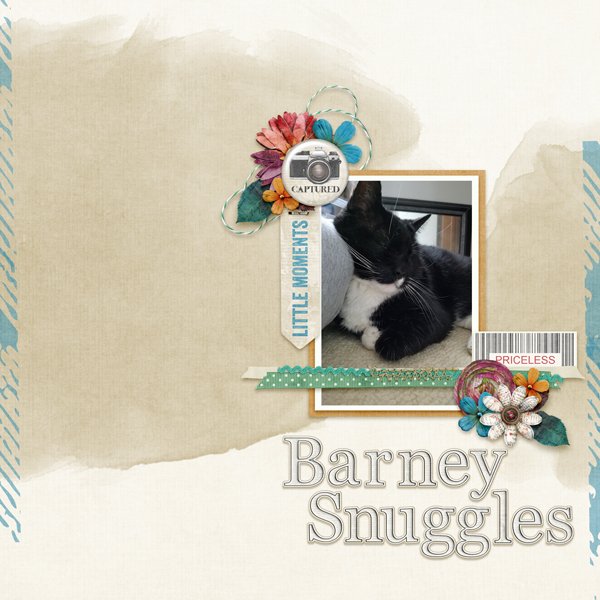 Barney Snuggles 1