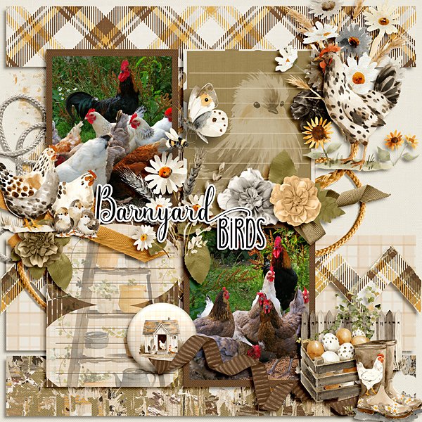 Barnyard Birds
