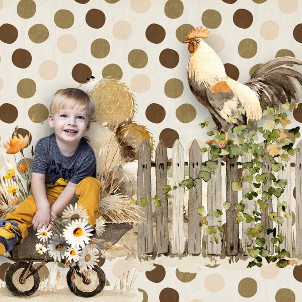 Barnyard Birds