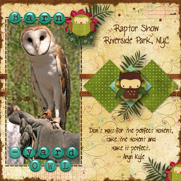 Barnyard Owl