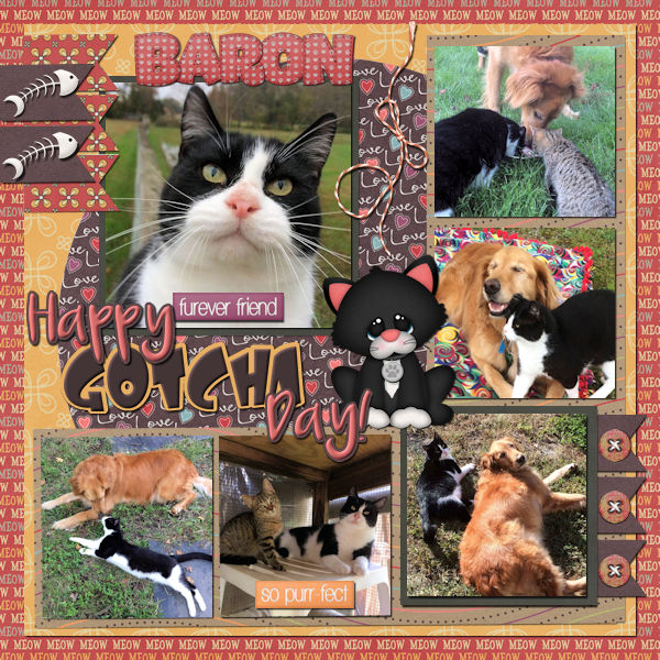Baron's Gotcha Day